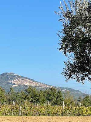 Adottata la variante al Psi per aumentare la tutela del paesaggio