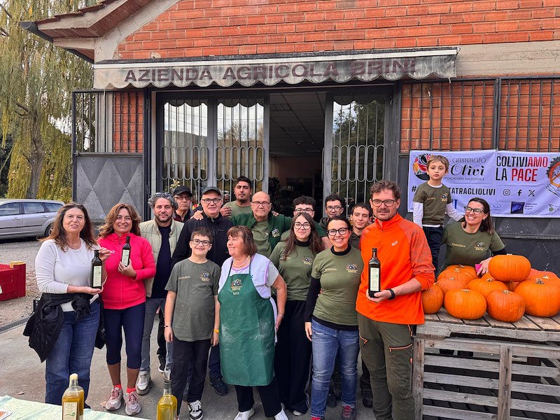 Ecco le feste dell’olio nuovo: sei appuntamenti verso la finale di Eleiva Cortonensis