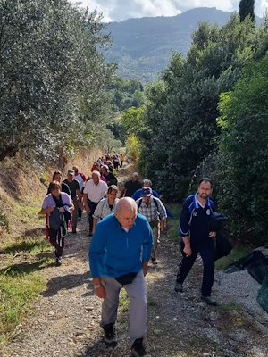 Torna la «Camminata fra gli olivi»: domenica 26 ottobre da Santa Maria Nuova al Sodo