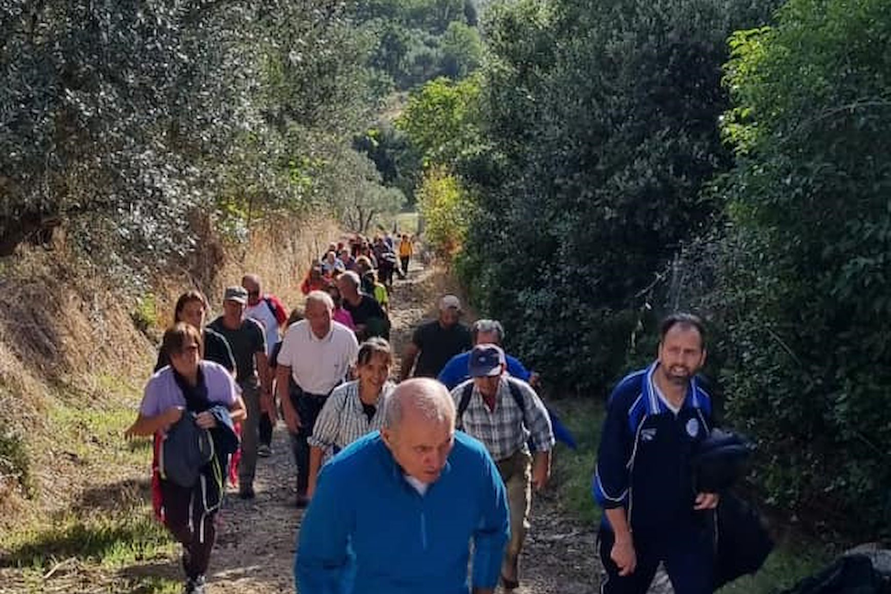 Torna la «Camminata fra gli olivi»: domenica 26 ottobre da Santa Maria Nuova al Sodo