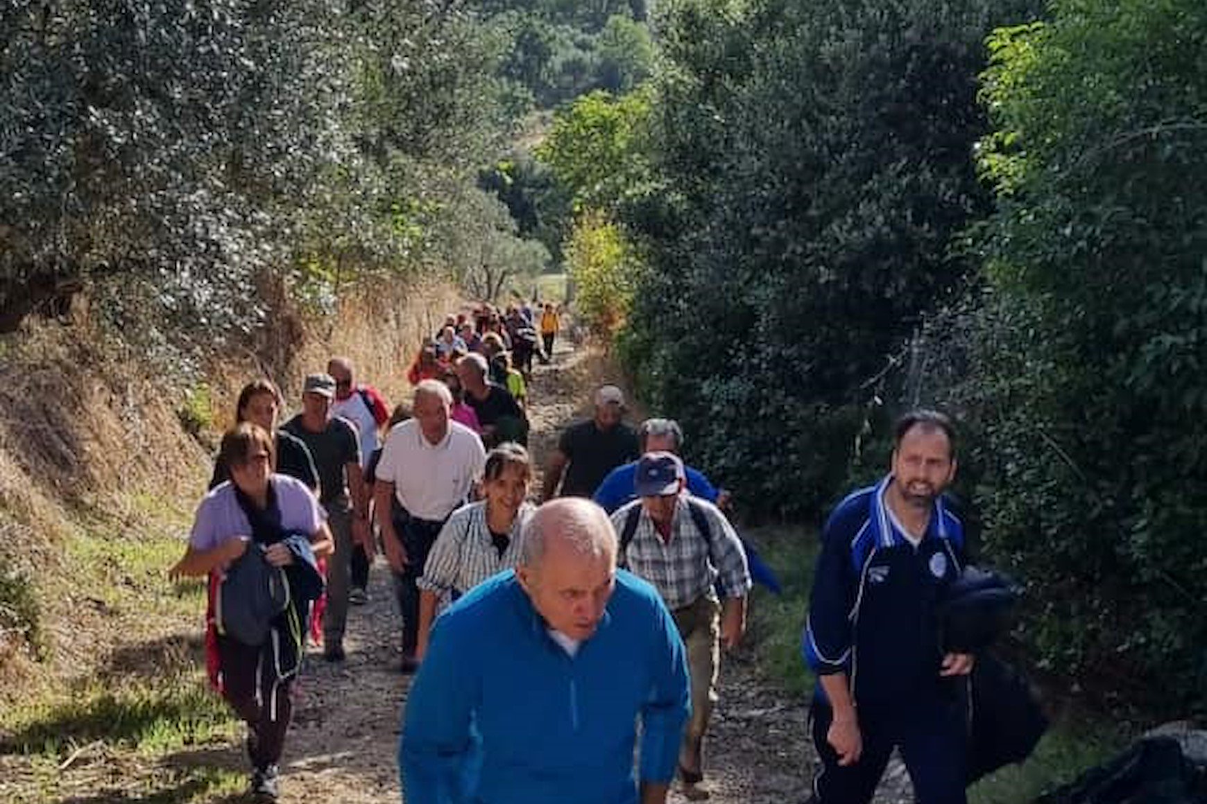 Torna la «Camminata fra gli olivi»: domenica 27 ottobre da San Marco in Villa a Renaia