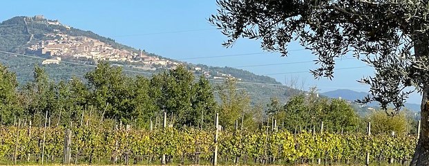 Adottata la variante al Psi per aumentare la tutela del paesaggio
