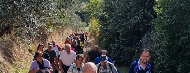 Torna la «Camminata fra gli olivi»: domenica 26 ottobre da Santa Maria Nuova al Sodo