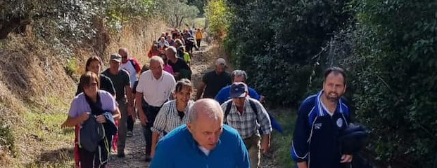 Torna la «Camminata fra gli olivi»: domenica 27 ottobre da San Marco in Villa a Renaia