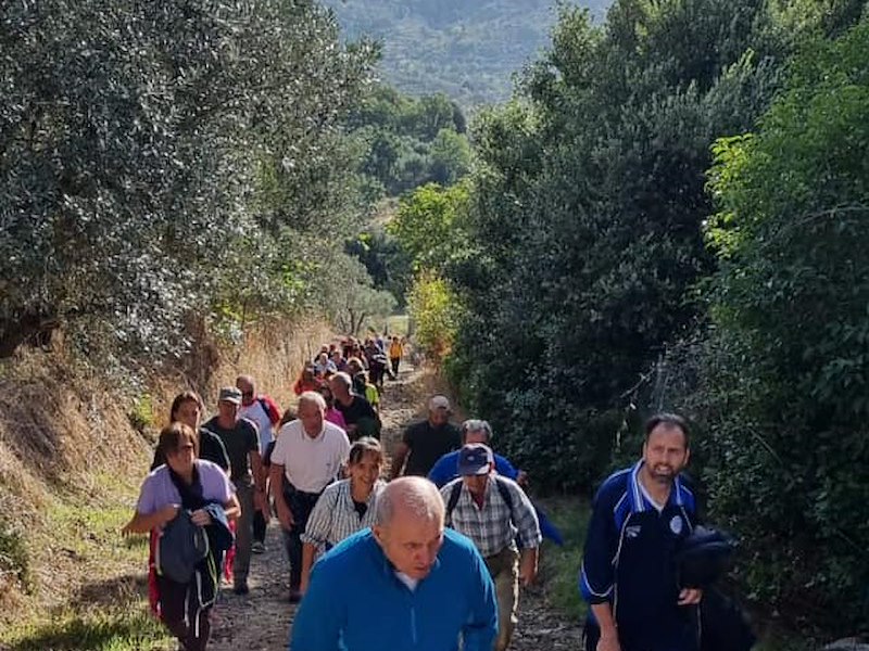 Torna la «Camminata fra gli olivi»: domenica 27 ottobre da San Marco in Villa a Renaia