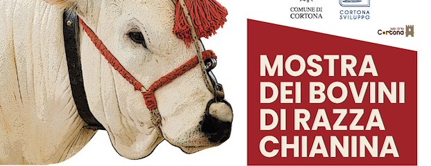 Mostra del Vitellone di razza Chianina