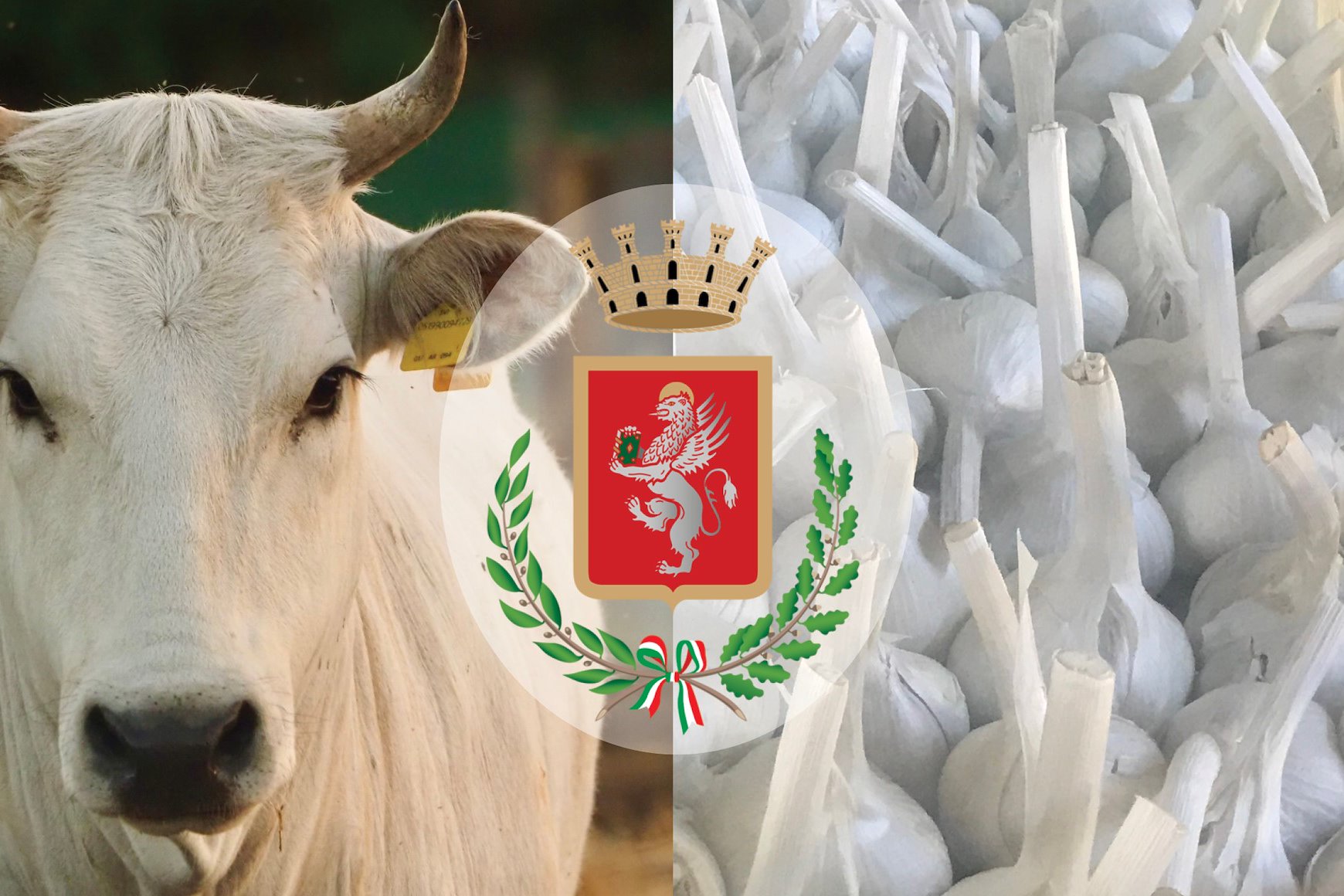 Chianina e Aglione