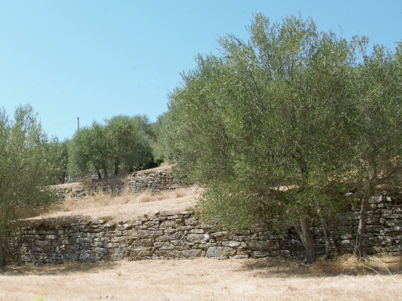 Con il 18esimo bollettino fitopatologico si conclude l’iniziativa del Comune in collaborazione con le aziende e le associazioni agricole