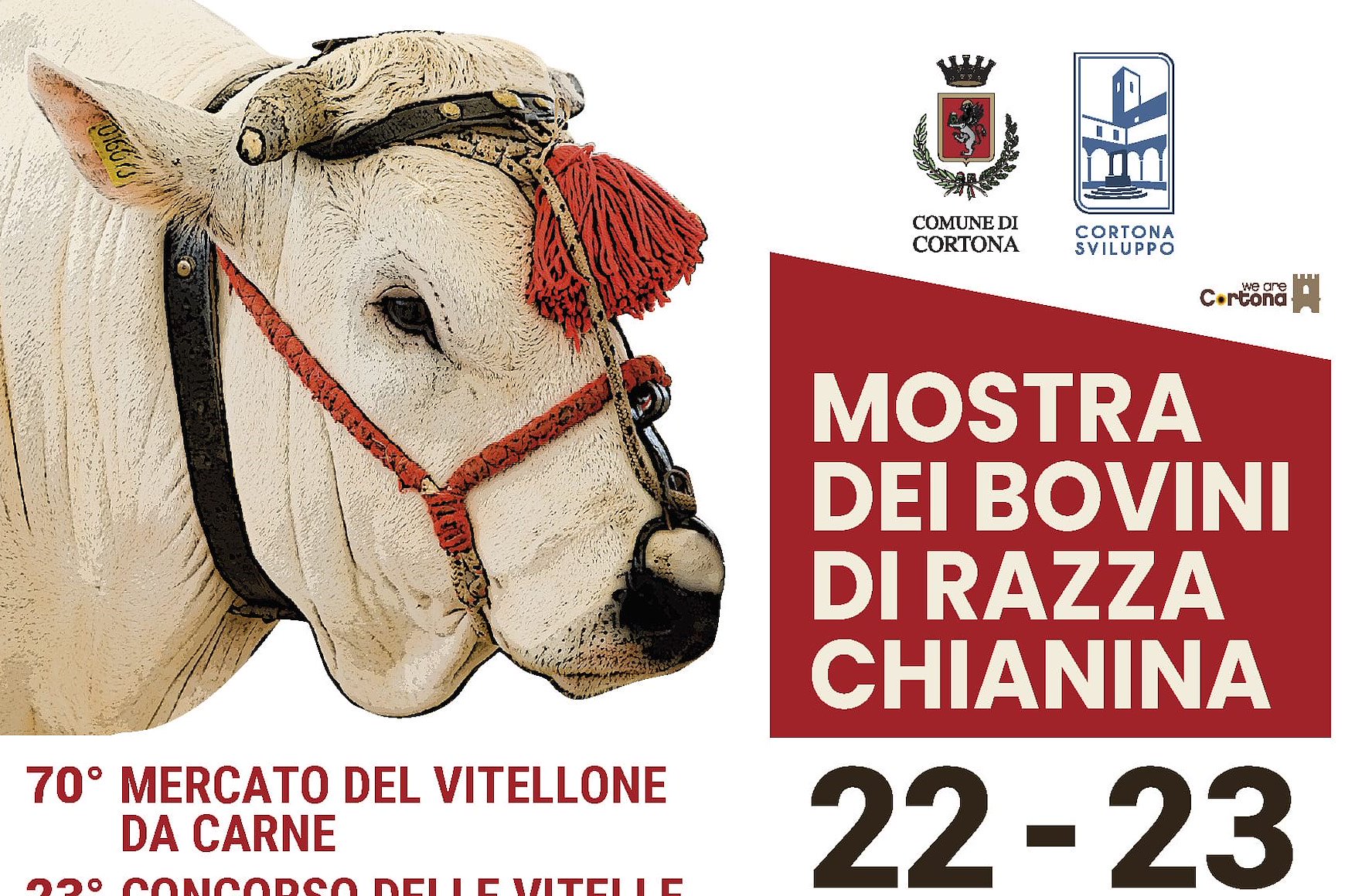 Mostra del Vitellone di razza Chianina